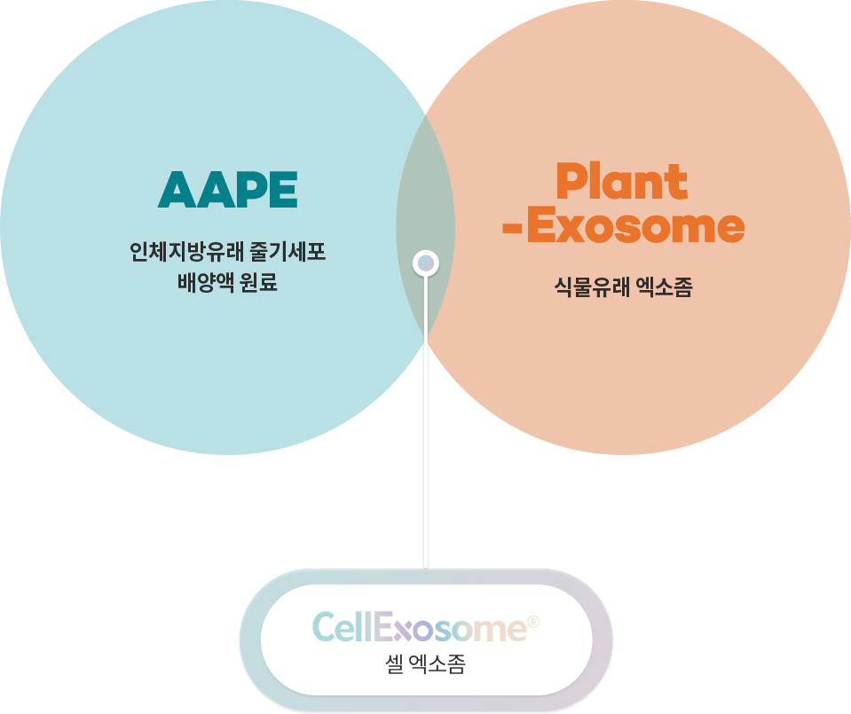 aape 인체지방유래 줄기세포 배양액 원료, plant-exosome 식물유래 엑소좀, cellexosome 셀 엑소좀
