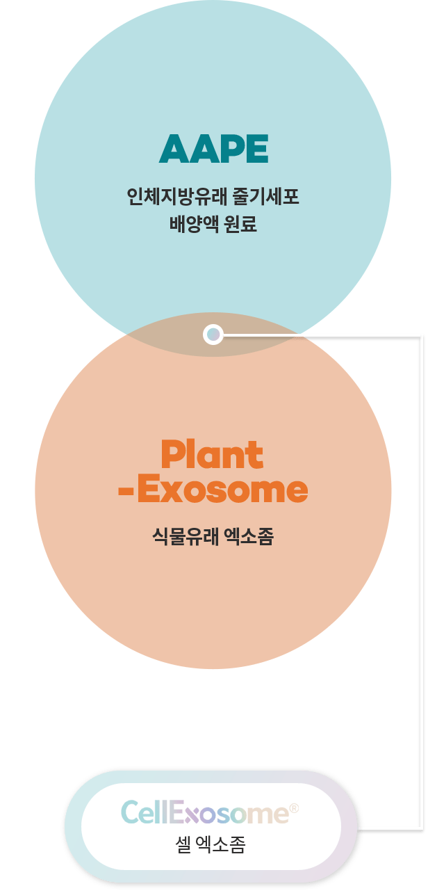 aape 인체지방유래 줄기세포 배양액 원료, plant-exosome 식물유래 엑소좀, cellexosome 셀 엑소좀